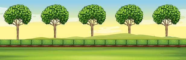 Scene with trees and field vector