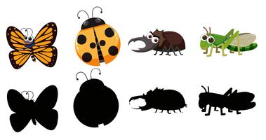 Set of various insect vector