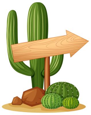 Arrow sign in cactus garden