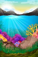 Scene with under the ocean vector