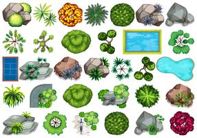 Set of plant for decoration vector