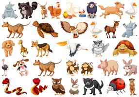 Set of animal character vector