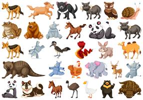 Conjunto de caracteres animales.