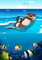 Sea otter swimming in the sea vector