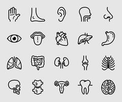 Anatomy and Organ line icon vector