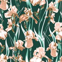 Wildflower iris flower pattern. Full name of the plant irises. salmon iris flower for background, texture, wrapper pattern, frame or border. vector