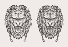 lion hand draw vector illustration