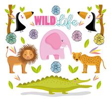 Wildlife cute animals vector