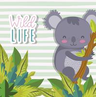 Cute wildlife animals cartoons vector