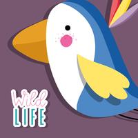 Cute wild birds vector