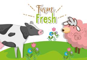 Farm fresh concept vector