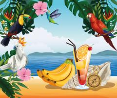 Summer vacation and beach cartoons vector