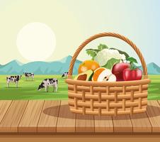 Fruits and vegetables in basket vector