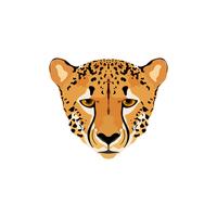 Ilustración vectorial de una cabeza de guepardo. vector