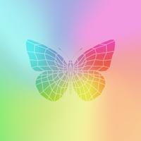 Vector colorful butterfly. Shiny banner.