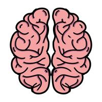 Anatomía del cerebro humano a creativo e intelecto. vector