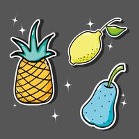 delicious tropical patches fruit design vector