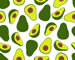 Seamless pattern of fresh avocado isolated on white background vector