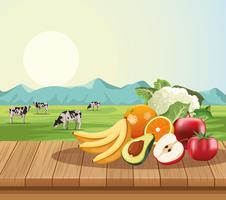 Fruits and vegetables vector