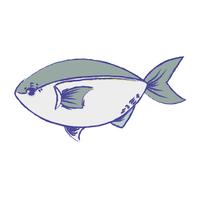 Deliciosos pescados y mariscos con nutrición natural. vector