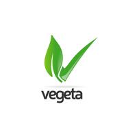 Logotipo de la hoja y la marca de verificación vector