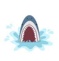 shark with  open jaws  vector