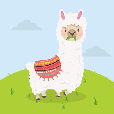 Cute alpaca eat grass cartoon