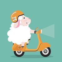 Cute sheep  in helmet riding a yellow scooter vector