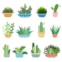 Cacti in Pots Set