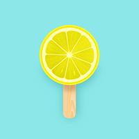 Creative Lemon Slice Popsicle vector