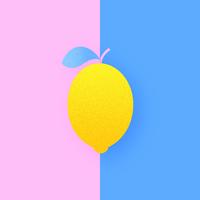 Lemon On Duo Pop Color Background vector