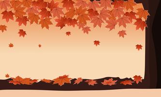 Autumn forest with falling maple leaves vector