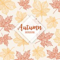 Autumn Colorful  Leaves Background vector