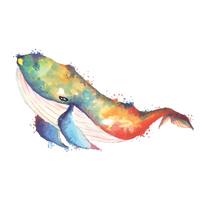 whale watercolor drawing  vector