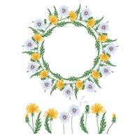 Hand Drawn Dandelions vector