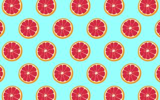 Grapefruit Pattern  vector