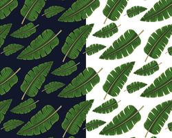 Tropical Pattern  vector