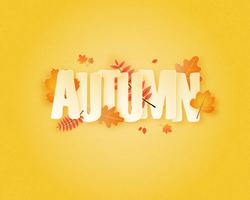 Calligraphy with autumn leaves vector