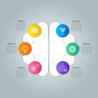 Concepto de negocio de diseño infográfico del cerebro con 6 opciones, partes o procesos. vector