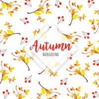 Orange and Yellow Leaves on Branch Beautiful Watercolor Autumn Leaves Background vector