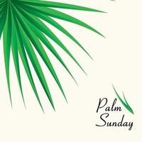  Palm Sunday Background with Palm leaves vector