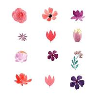 Watercolor flowers collection vector