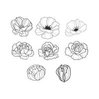 Hand drawn flowers collection vector