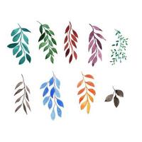 set of watercolor leaves and branches vector