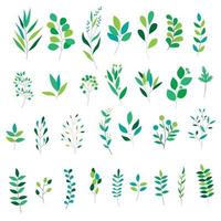 Set of different green leaves vector
