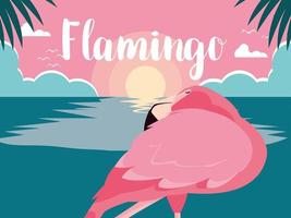 sleeping flamingo standing in water vector