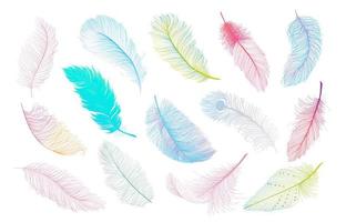 Colorful feathers collection vector