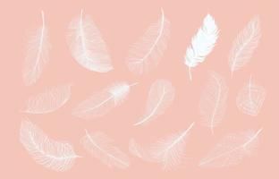 White feathers set vector