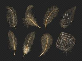 Golden Feather Images – Browse 2,721 Stock Photos, Vectors, and Video