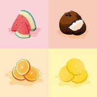 Set of Fruit  vector